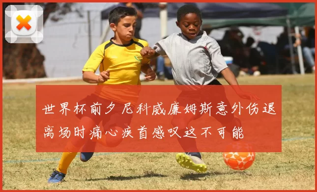 世界杯前夕尼科威廉姆斯意外伤退离场时痛心疾首感叹这不可能