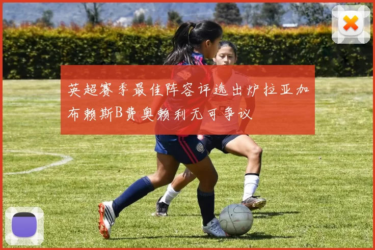 英超赛季最佳阵容评选出炉拉亚加布赖斯B费奥赖利无可争议