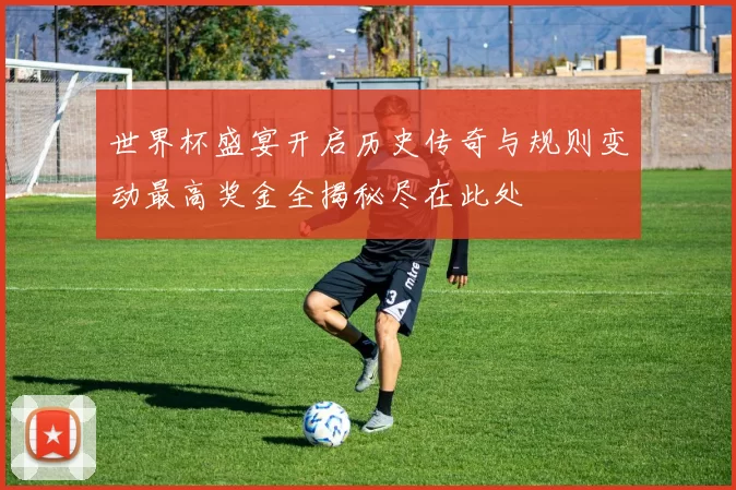 世界杯盛宴开启历史传奇与规则变动最高奖金全揭秘尽在此处